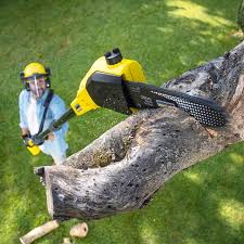 Best Lawn Grading and Leveling  in East Point, GA