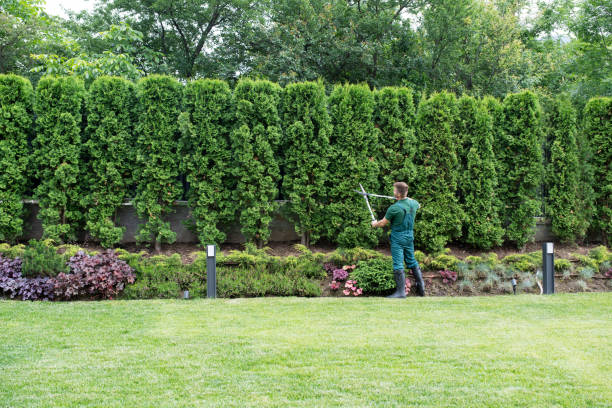 Best Weed Control  in East Point, GA
