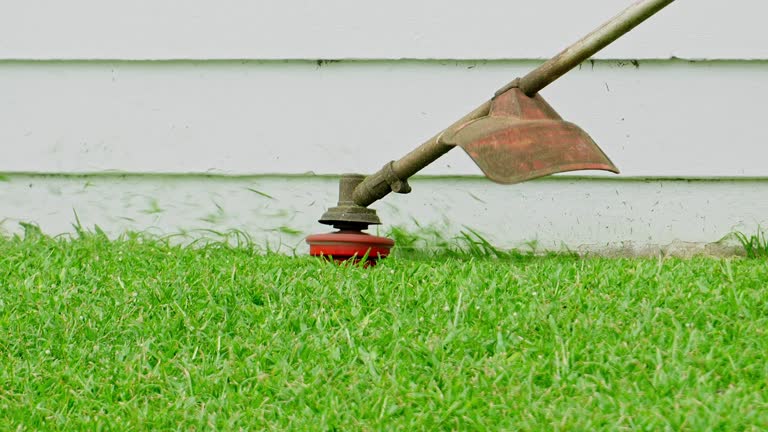 Best Tree Disease Treatment  in East Point, GA